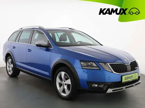 Annonce SKODA OCTAVIA Diesel 2019 d'occasion 