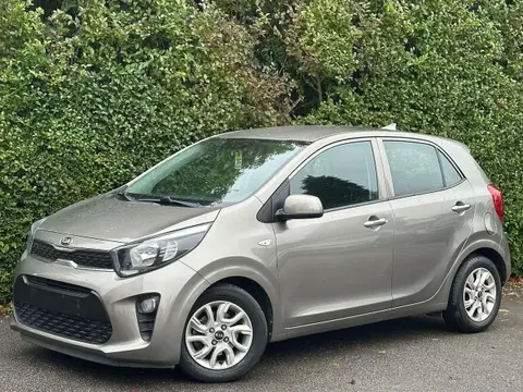 Used KIA PICANTO Petrol 2019 Ad 