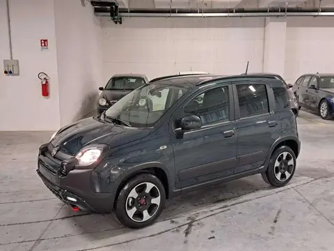 Used FIAT PANDA Hybrid 2024 Ad 