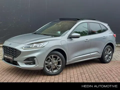 Annonce FORD KUGA Hybride 2022 d'occasion 