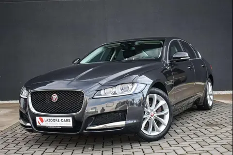 Used JAGUAR XF Petrol 2017 Ad 