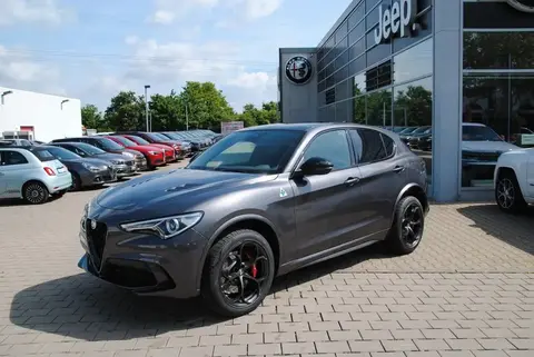 Used ALFA ROMEO STELVIO Petrol 2022 Ad 