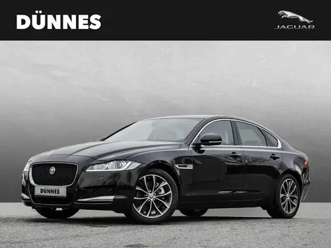 Used JAGUAR XF Diesel 2016 Ad Germany