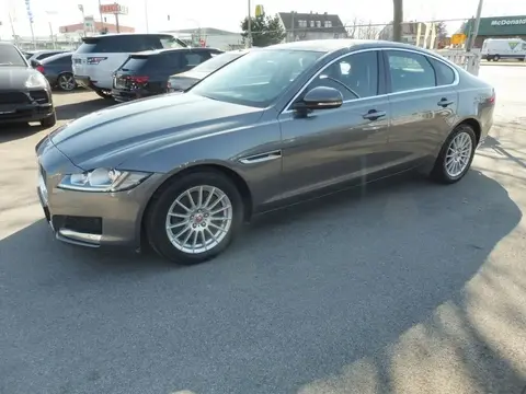 Used JAGUAR XF Diesel 2018 Ad 