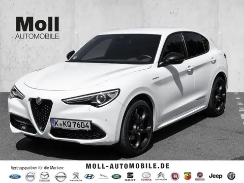 Used ALFA ROMEO STELVIO Petrol 2022 Ad Germany