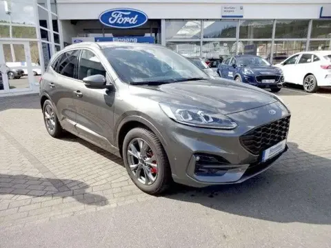 Annonce FORD KUGA Essence 2021 d'occasion 