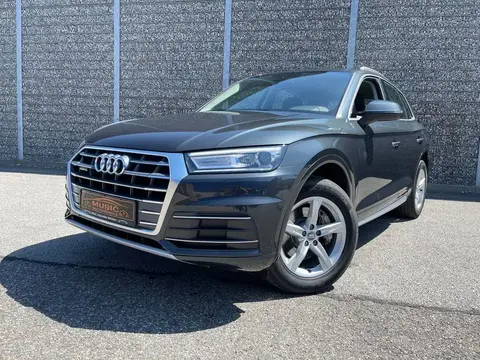 Used AUDI Q5 Diesel 2017 Ad Germany