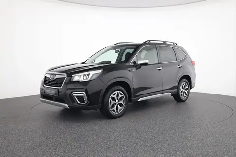 Used SUBARU FORESTER Petrol 2021 Ad 