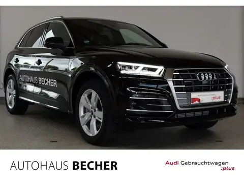 Used AUDI Q5 Hybrid 2021 Ad 