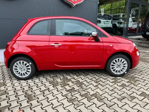 Used FIAT 500 Petrol 2023 Ad 