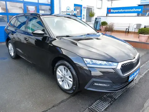 Used SKODA OCTAVIA Diesel 2021 Ad 