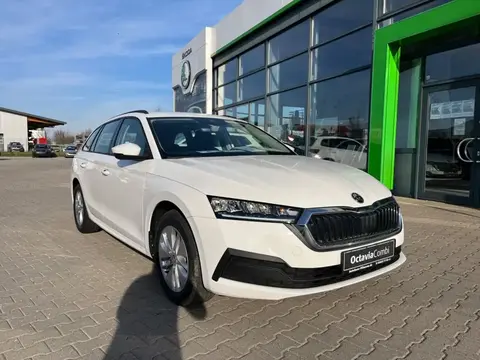 Annonce SKODA OCTAVIA Essence 2023 d'occasion 