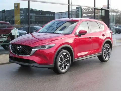 Used MAZDA CX-5 Petrol 2023 Ad 