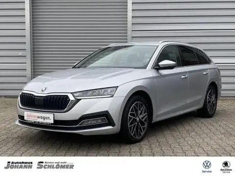 Annonce SKODA OCTAVIA Diesel 2021 d'occasion 