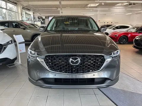 Annonce MAZDA CX-5 Essence 2023 d'occasion 