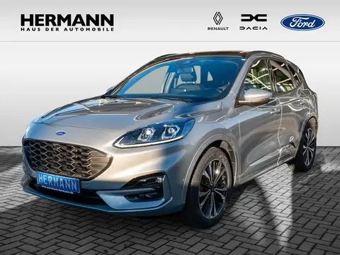 Annonce FORD KUGA Essence 2024 d'occasion 