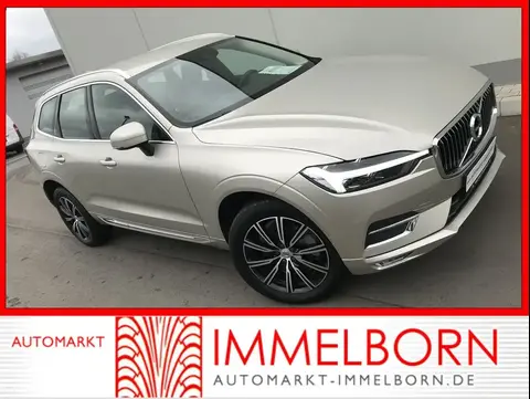 Annonce VOLVO XC60 Diesel 2021 d'occasion Allemagne