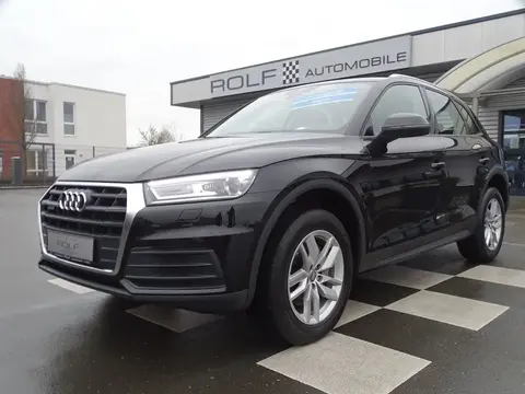 Used AUDI Q5 Diesel 2019 Ad Germany