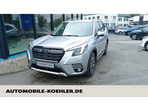 Used SUBARU FORESTER Petrol 2024 Ad 