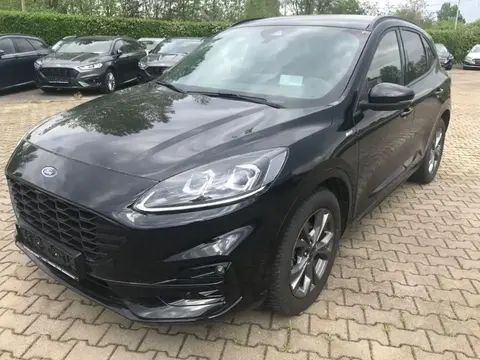 Annonce FORD KUGA Hybride 2021 d'occasion 