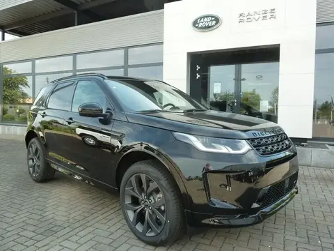 Used LAND ROVER DISCOVERY Petrol 2023 Ad 