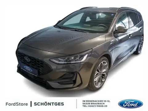 Used FORD FOCUS Hybrid 2023 Ad 