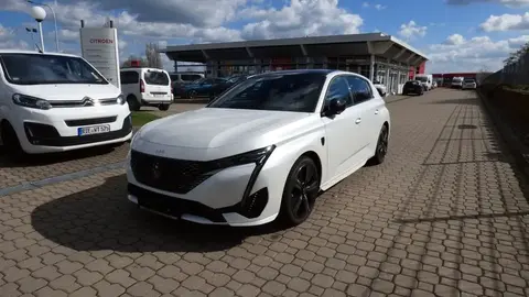 Used PEUGEOT 308 Hybrid 2022 Ad 