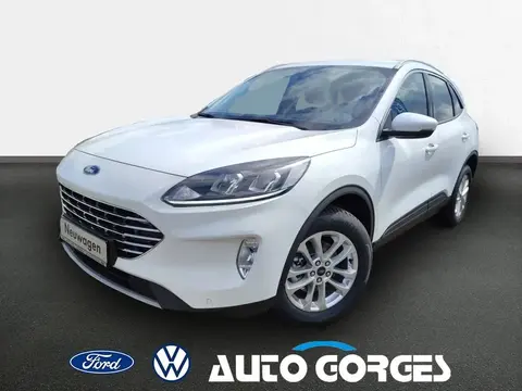 Used FORD KUGA Petrol 2024 Ad 