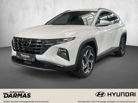 Annonce HYUNDAI TUCSON Hybride 2023 d'occasion 