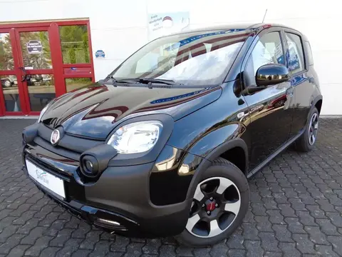 Used FIAT PANDA Petrol 2023 Ad 