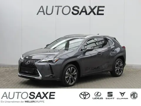 Used LEXUS UX Hybrid 2023 Ad 