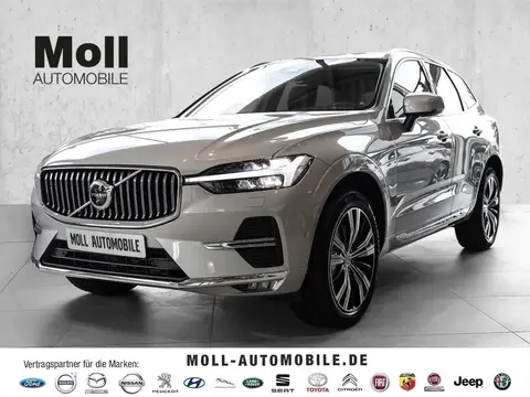 Annonce VOLVO XC60 Diesel 2024 d'occasion 