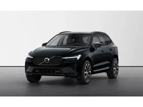 Annonce VOLVO XC60 Diesel 2024 d'occasion 