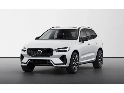 Annonce VOLVO XC60 Diesel 2024 d'occasion 