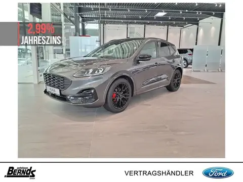 Annonce FORD KUGA Essence 2024 d'occasion 