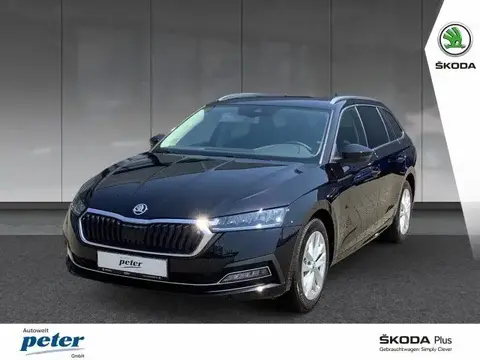 Used SKODA OCTAVIA Diesel 2023 Ad 