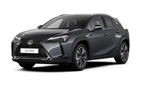 Annonce LEXUS UX Hybride 2022 d'occasion Allemagne