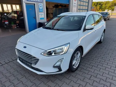 Used FORD FOCUS Petrol 2019 Ad 