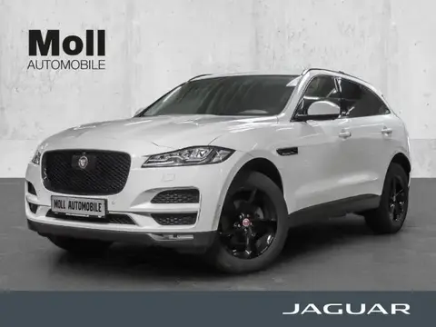 Used JAGUAR F-PACE Diesel 2019 Ad 