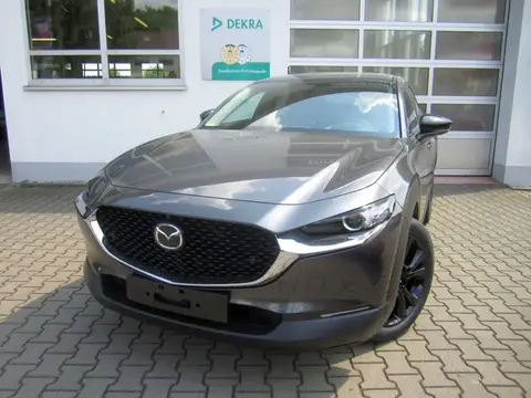 Used MAZDA CX-30 Petrol 2023 Ad 