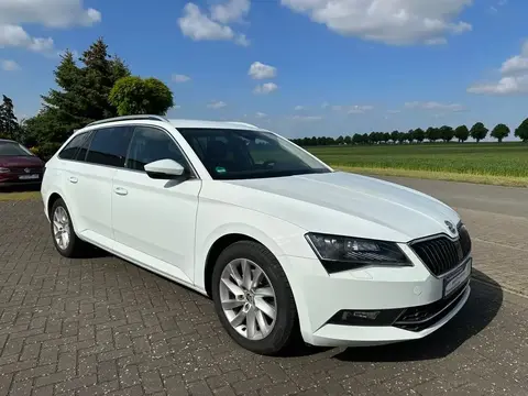 Annonce SKODA SUPERB Diesel 2017 d'occasion 