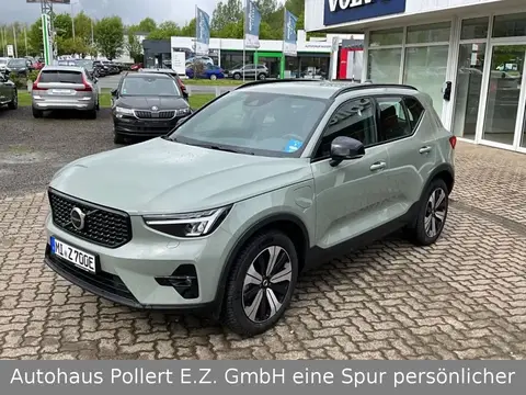 Used VOLVO XC40 Hybrid 2023 Ad 