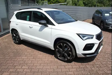 Used CUPRA ATECA Petrol 2023 Ad 