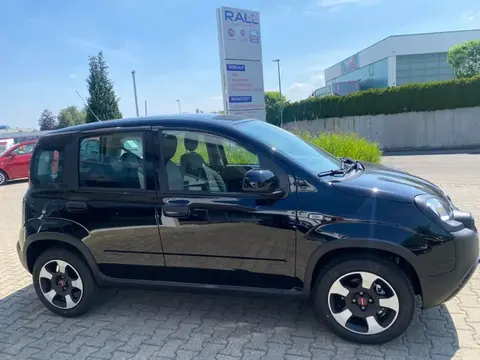 Used FIAT PANDA Hybrid 2023 Ad 