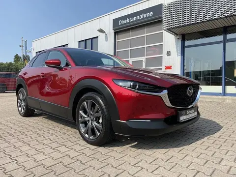 Annonce MAZDA CX-30 Essence 2019 d'occasion 