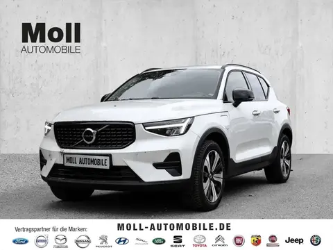 Used VOLVO XC40 Hybrid 2022 Ad 