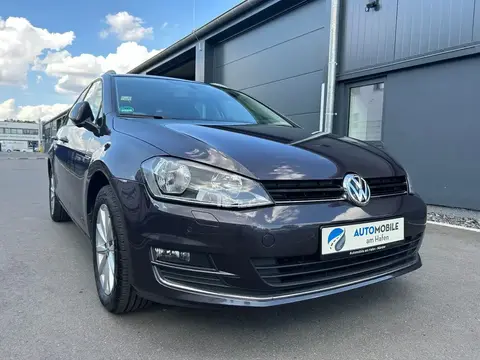 Used VOLKSWAGEN GOLF Petrol 2016 Ad 