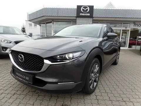 Used MAZDA CX-30 Petrol 2019 Ad 