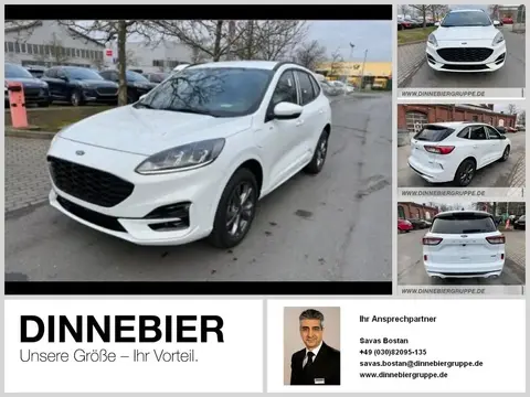 Annonce FORD KUGA Hybride 2022 d'occasion 