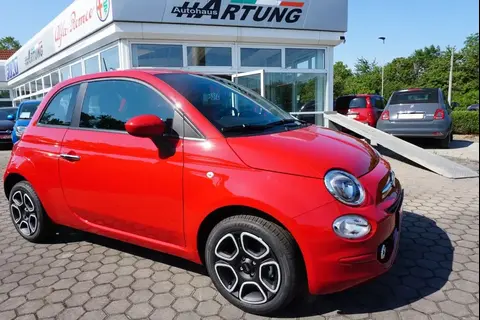 Used FIAT 500 Petrol 2023 Ad 